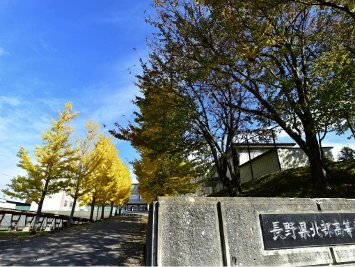 学校⽬標