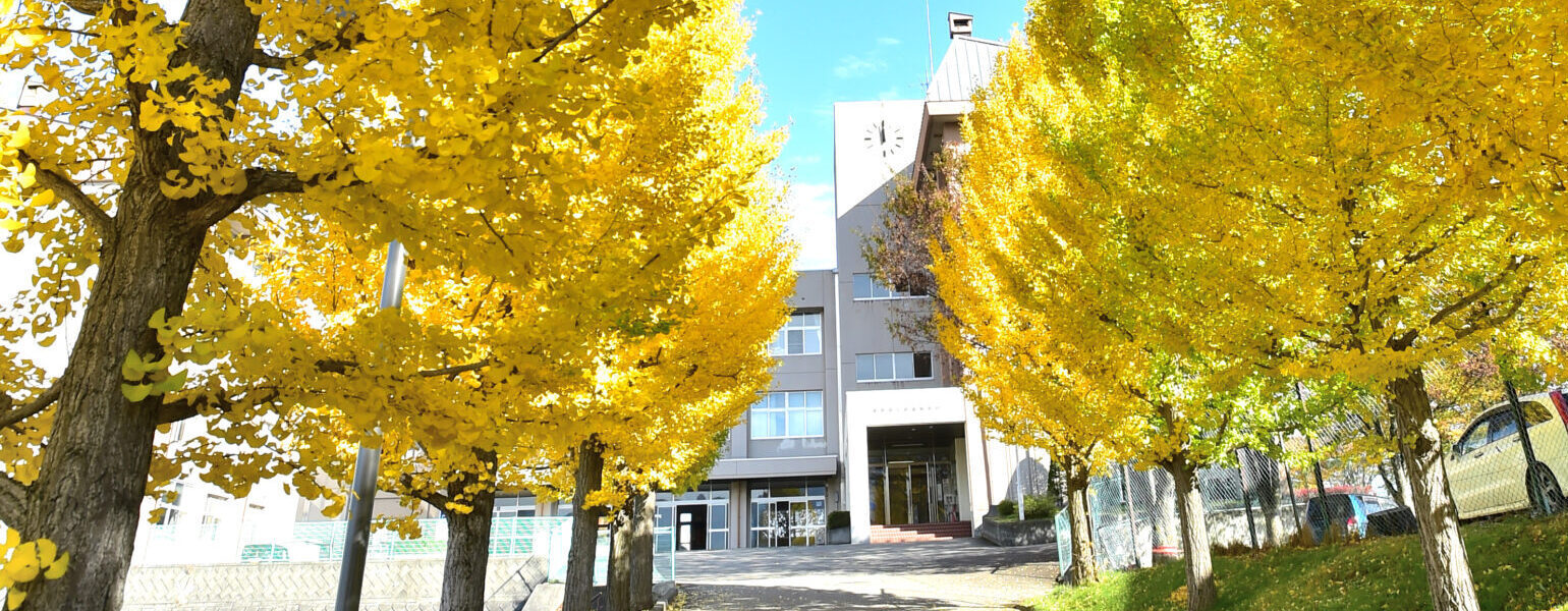 学校概要